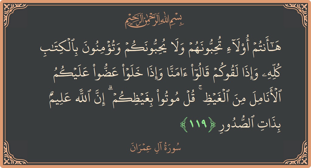 آیت 119 - سورة آل عمران: (ها أنتم أولاء تحبونهم ولا يحبونكم وتؤمنون بالكتاب كله وإذا لقوكم قالوا آمنا وإذا خلوا عضوا عليكم الأنامل من الغيظ...) - اردو