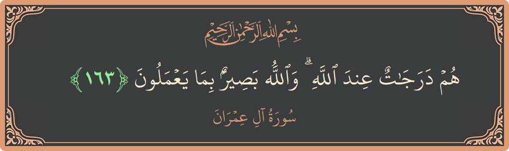 آیت 163 - سورة آل عمران: (هم درجات عند الله ۗ والله بصير بما يعملون...) - اردو