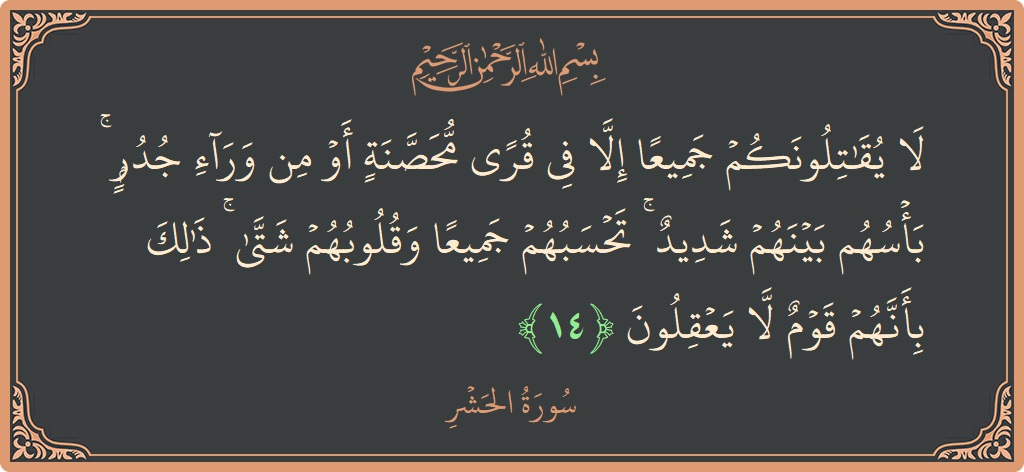 Verse 14 - Surah Al-Hashr: (لا يقاتلونكم جميعا إلا في قرى محصنة أو من وراء جدر ۚ بأسهم بينهم شديد ۚ تحسبهم جميعا وقلوبهم شتى...) - English