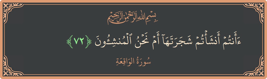 Verse 72 - Surah Al-Waaqia: (أأنتم أنشأتم شجرتها أم نحن المنشئون...) - English