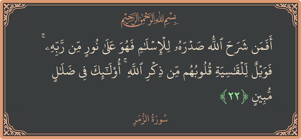 الآية 22 - سورة الزمر: (أفمن شرح الله صدره للإسلام فهو على نور من ربه ۚ فويل للقاسية قلوبهم من ذكر الله ۚ أولئك في...)