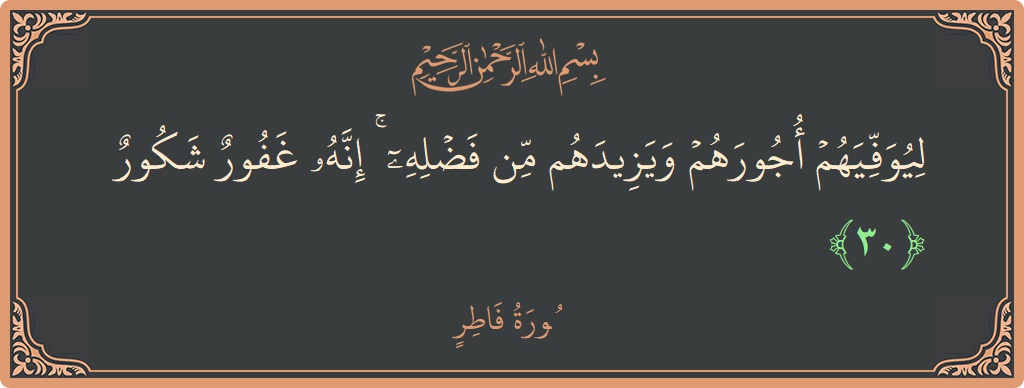 Verse 30 - Surah Faatir: (ليوفيهم أجورهم ويزيدهم من فضله ۚ إنه غفور شكور...) - English
