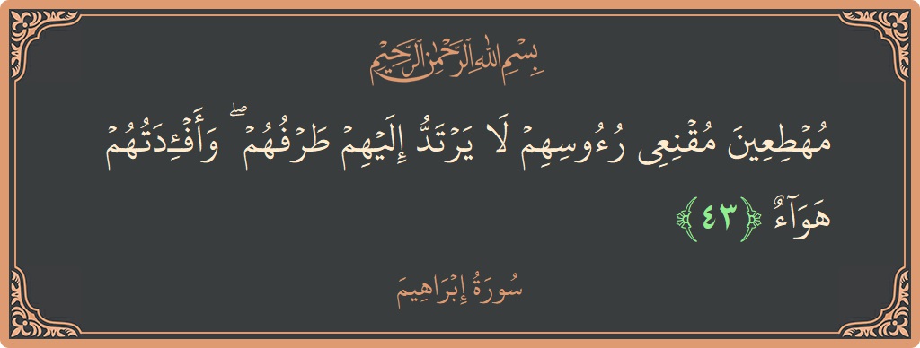 الآية 43 - سورة ابراهيم: (مهطعين مقنعي رءوسهم لا يرتد إليهم طرفهم ۖ وأفئدتهم هواء...)