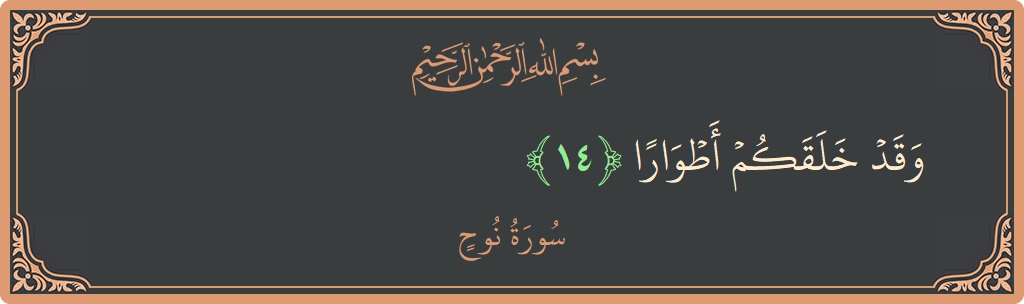 14 - Nuh Suresi ayeti: (وقد خلقكم أطوارا...) - Türkçe